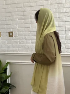 Green Ombre Abaya